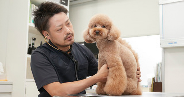 検診写真1
