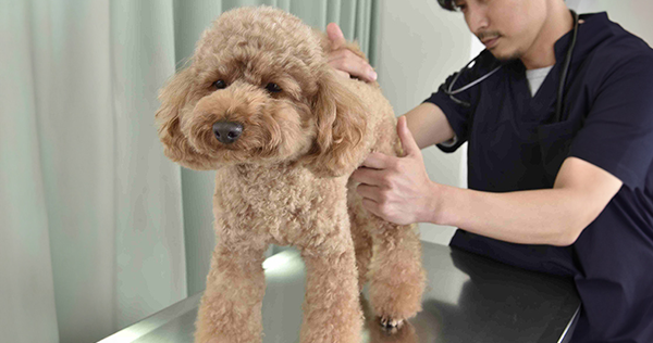 検診写真2