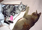 patient10-10