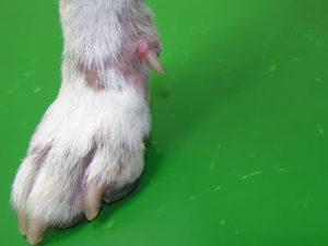 photo_case01_03