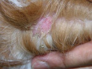 photo_case02_02