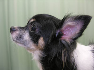 photo_case04_02