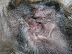 photo_case05_02