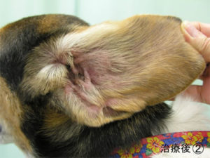 photo_case05_05