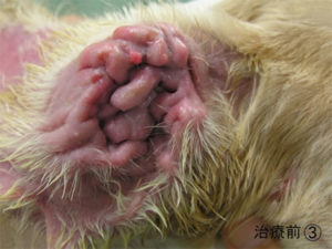 photo_case05_06
