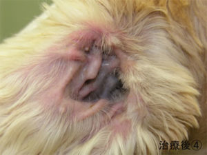 photo_case05_07