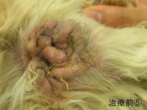 photo_case05_08