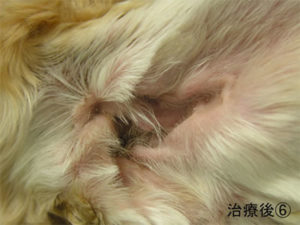 photo_case05_09