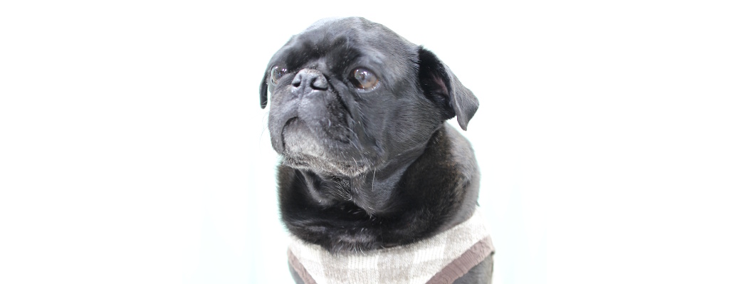IMG_3087-4